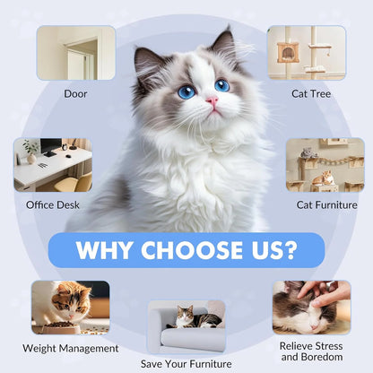 Cats Toy Interactive for Indoor Cats Automatic Electric Flying Bird Feather Mouse Toy - Best Kitten & Adult Cat Enrichment Mouse Cat Toy Hanging Electric Kitty Toys for Bored Cats