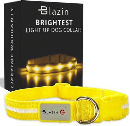 Light up Dog Collar - the Original LED Dog Collar - USB Rechargeable - Waterproof - 1,000 Feet of Visibility - Dog Collar Light for Small, Medium, Large Dogs - USA Brand